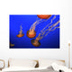 Medusa Jellyfish Wall Decal