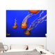 Medusa Jellyfish Wall Decal