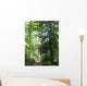 Path Forest Ste Baume Wall Decal