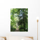 Path Forest Ste Baume Wall Decal