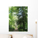 Path Forest Ste Baume Wall Decal