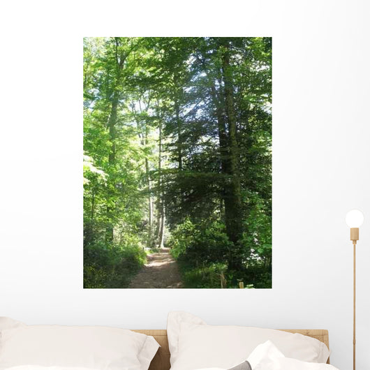 Path Forest Ste Baume Wall Decal