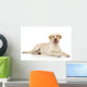 Young Labrador Retriever Wall Decal