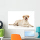 Young Labrador Retriever Wall Decal