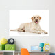 Young Labrador Retriever Wall Decal