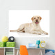 Young Labrador Retriever Wall Decal