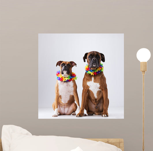 Two Boxer Dogs with Wall Decal