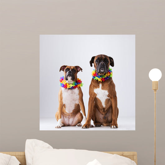 Two Boxer Dogs with Wall Decal