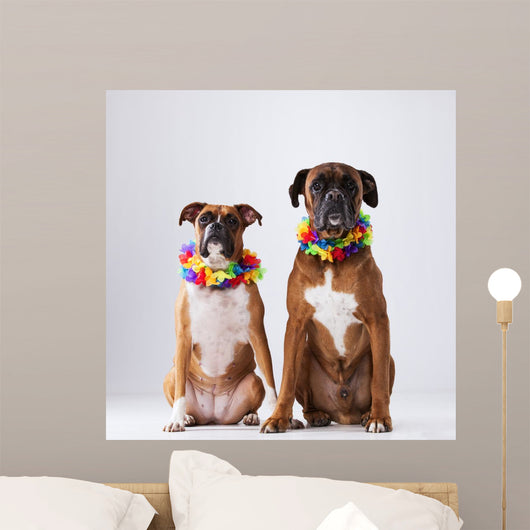Two Boxer Dogs with Wall Decal