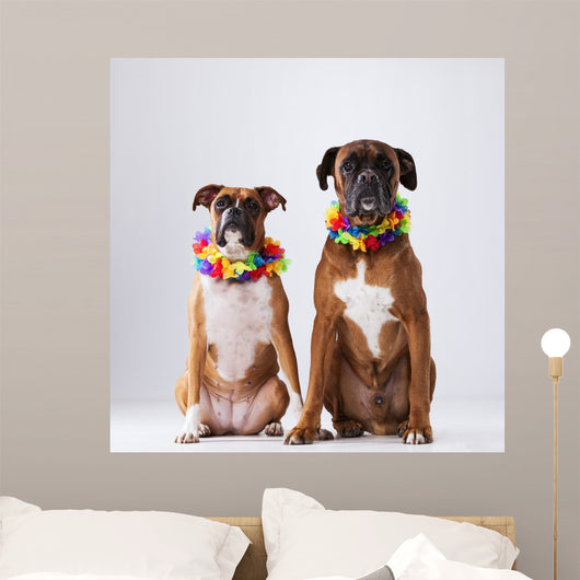 Two Boxer Dogs with Wall Decal
