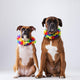 Two Boxer Dogs with Wall Decal