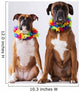 Two Boxer Dogs with Wall Decal