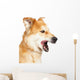 Closeup Large Dog Mouth Wall Decal