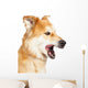 Closeup Large Dog Mouth Wall Decal