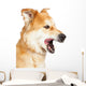 Closeup Large Dog Mouth Wall Decal