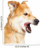 Closeup Large Dog Mouth Wall Decal