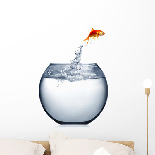 Goldfish Jumping out Water Wall Decal