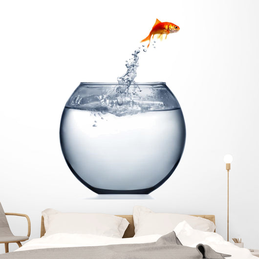 Goldfish Jumping out Water Wall Decal