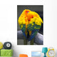 Sun Conure Parrots Wall Decal