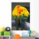 Sun Conure Parrots Wall Decal