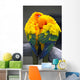 Sun Conure Parrots Wall Decal