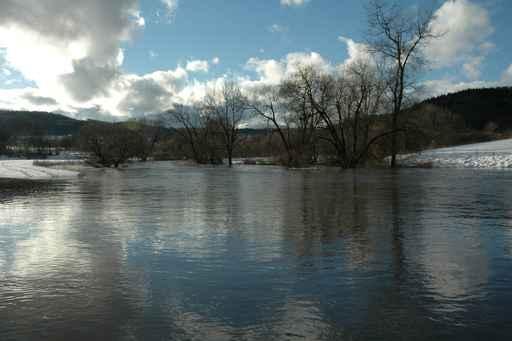 Flood Wall Decal Design 2