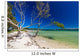 Bribie Island Aus Feb Wall Decal