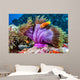 Clown Fish inside Pink Wall Decal