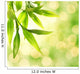 Bamboo Leaves over Abstract Wall Decal