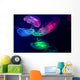 Jellyfish Aquarium Multi Colored Wall Decal