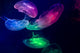 Jellyfish Aquarium Multi Colored Wall Decal