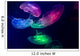 Jellyfish Aquarium Multi Colored Wall Decal