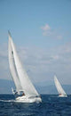 Two White Yachts Sail Wall Decal
