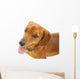 Dachshund Dog Wall Decal