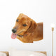 Dachshund Dog Wall Decal