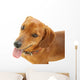 Dachshund Dog Wall Decal