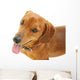 Dachshund Dog Wall Decal