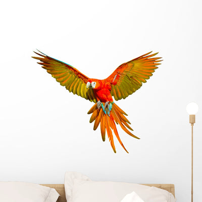 Parrot Flying Wall Decal shown on a wall