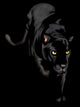 Black Panther Night Wall Decal
