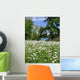And Daisy Meadow Lake Wall Decal
