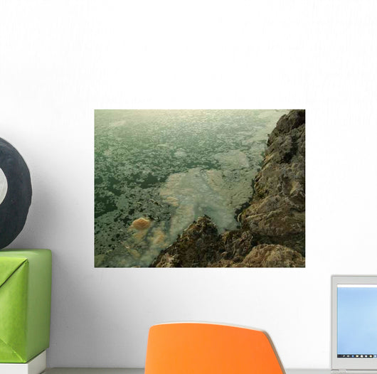 Pollution Wall Decal