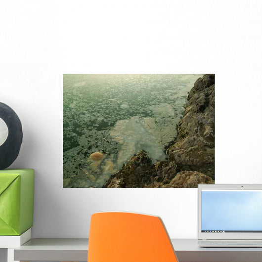 Pollution Wall Decal