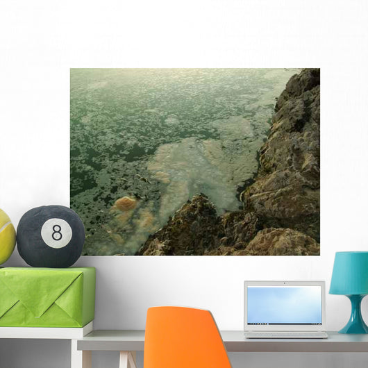 Pollution Wall Decal