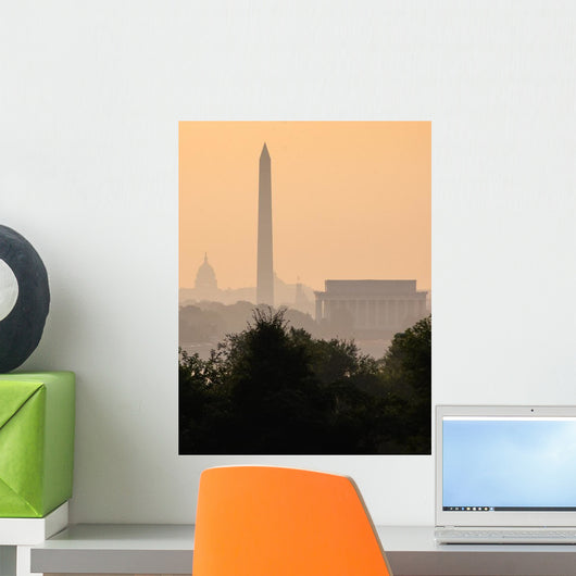 Washington DC Skyline Fog Wall Decal