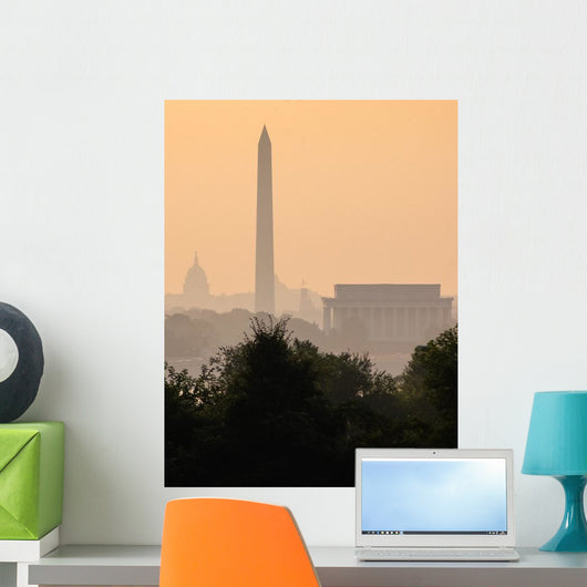 Washington DC Skyline Fog Wall Decal