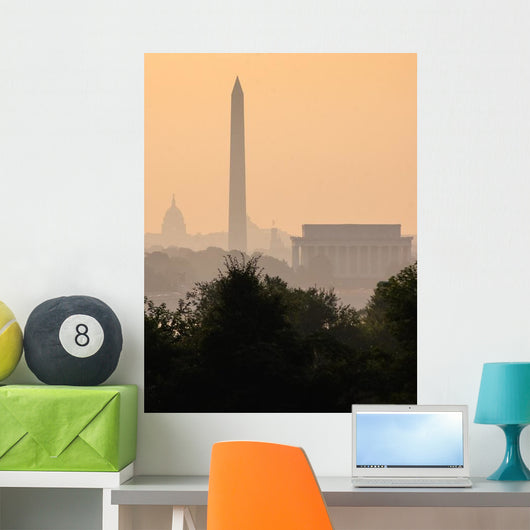 Washington DC Skyline Fog Wall Decal
