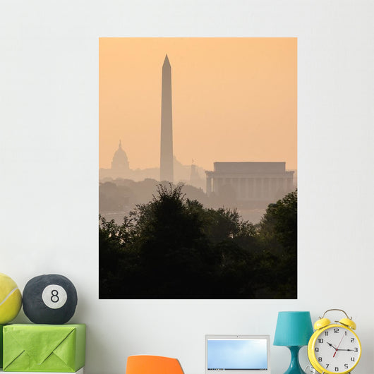 Washington DC Skyline Fog Wall Decal