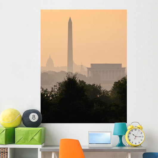Washington DC Skyline Fog Wall Decal