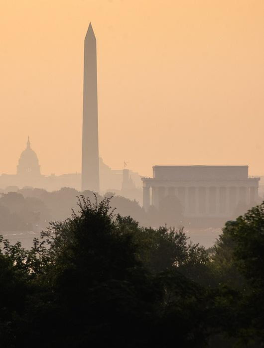 Washington DC Skyline Fog Wall Decal
