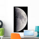 First Quarter Moon Wall Decal
